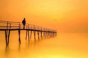 10686833_721070551263899_226095228895669026_n